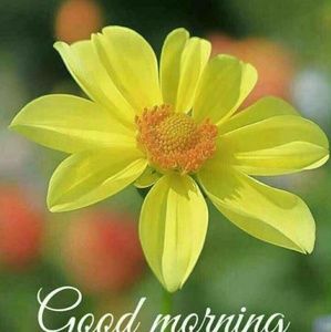 Meet your Posher, Kanchan